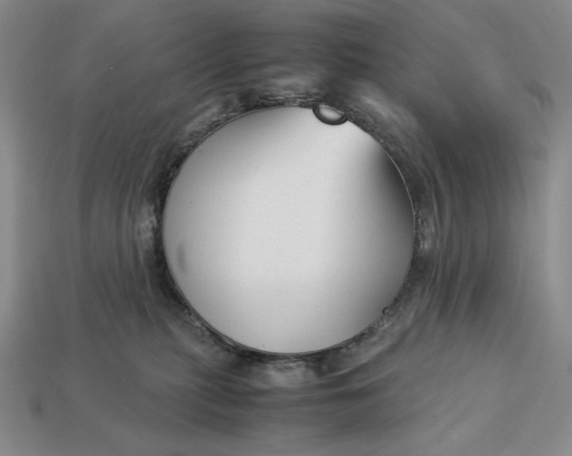 X0000113140279200909181736