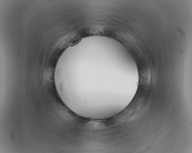 X0000113140280200909181736