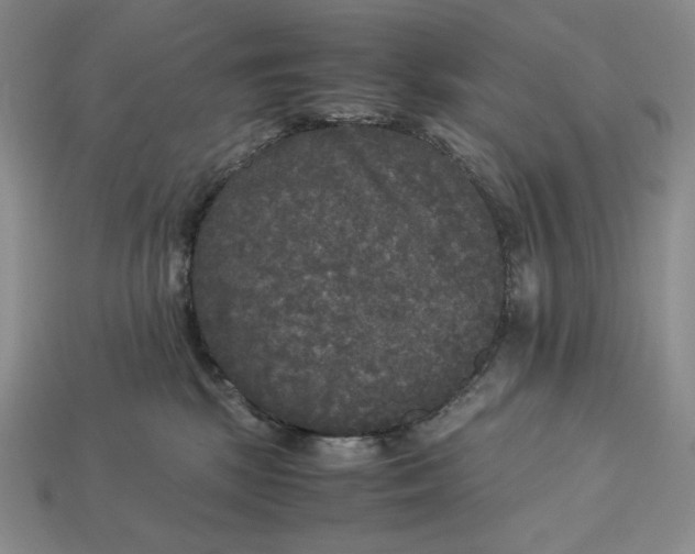 X0000113140281200909181736