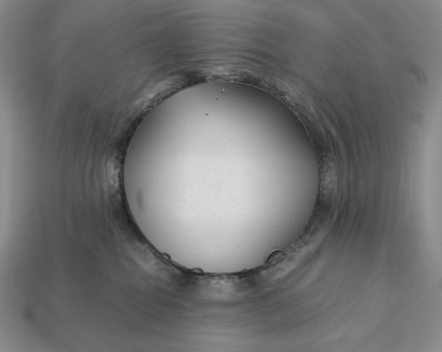 X0000113140282200909181736