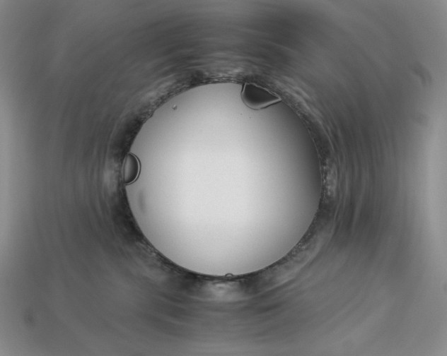 X0000113140283200909181736