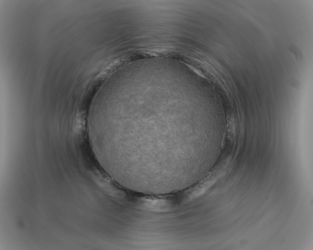 X0000113140284200909181736