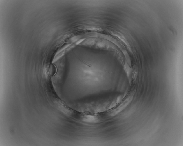 X0000113140285200909181736