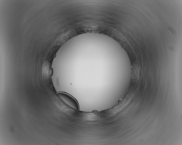 X0000113140287200909181736