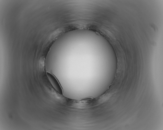 X0000113140288200909181736