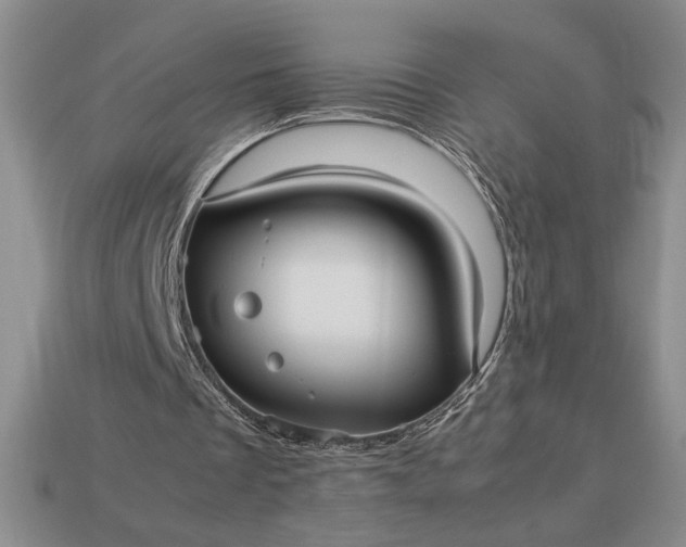 X0000113140289200909181735