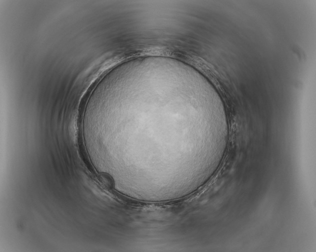 X0000113140290200909181735