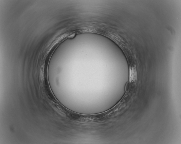 X0000113140291200909181735