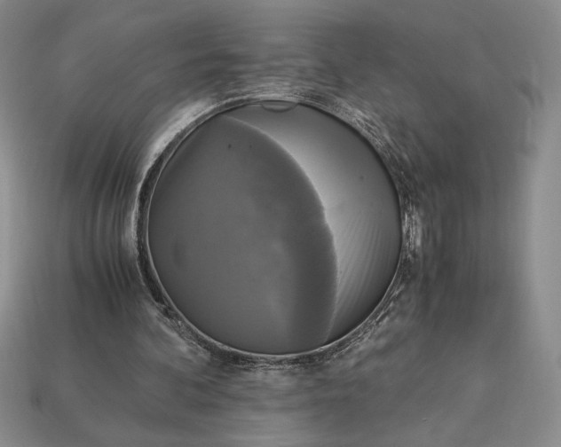 X0000113140292200909181735