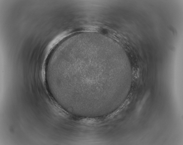 X0000113140294200909181735