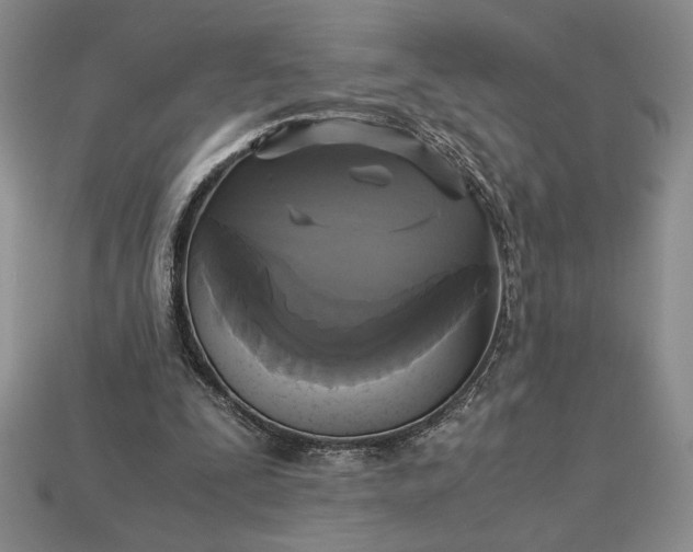 X0000113140295200909181735