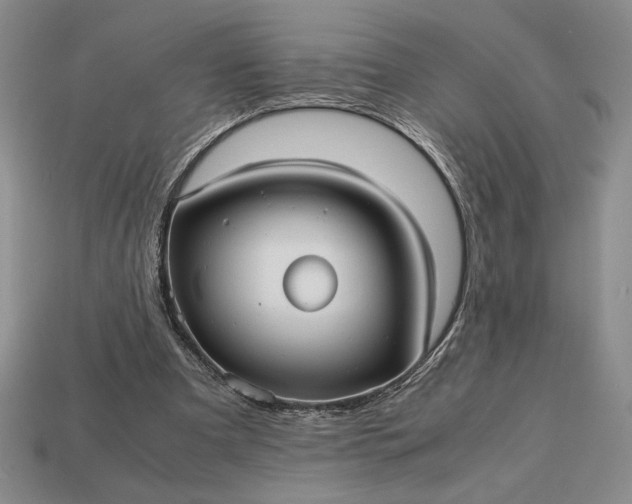 X0000113140297200909181735