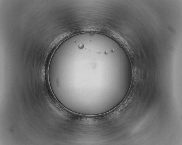 X0000113140298200909181735