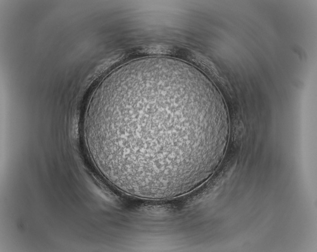 X0000113140299200909181735