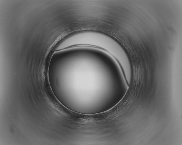 X0000113140300200909181735