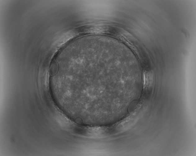 X0000113140301200909181735