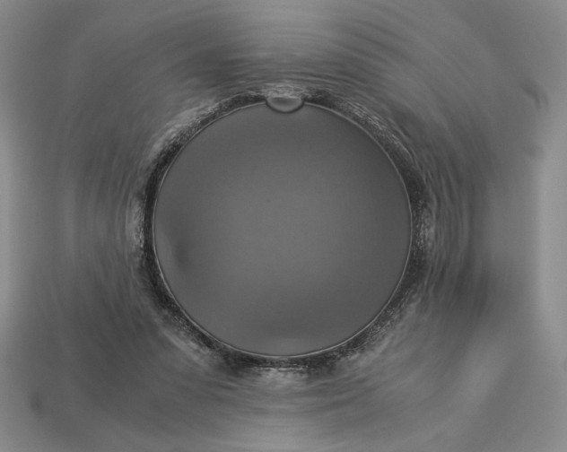 X0000113140303200909181735