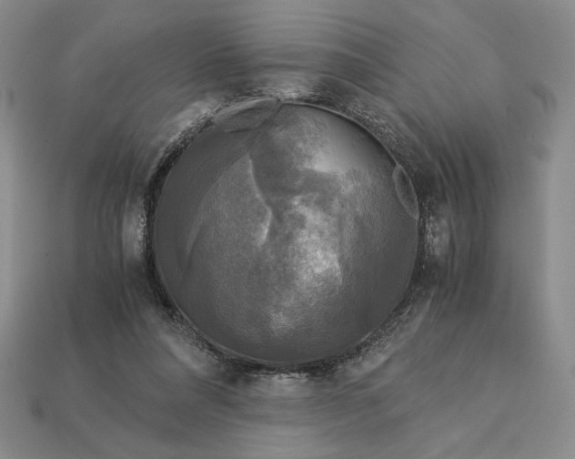 X0000113140304200909181735