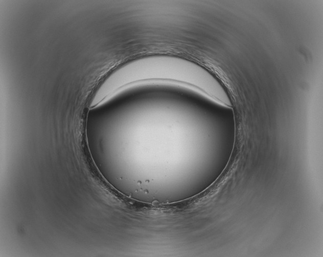 X0000113140305200909181735