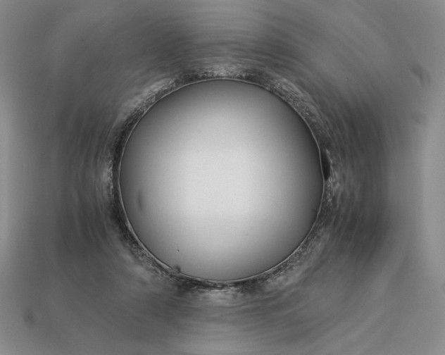 X0000113140306200909181735