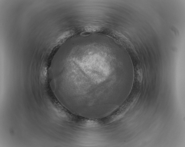 X0000113140308200909181735