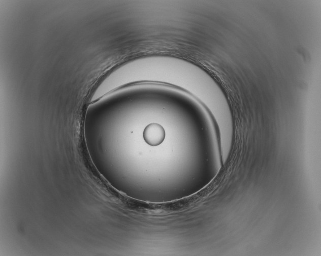 X0000113140309200909181735