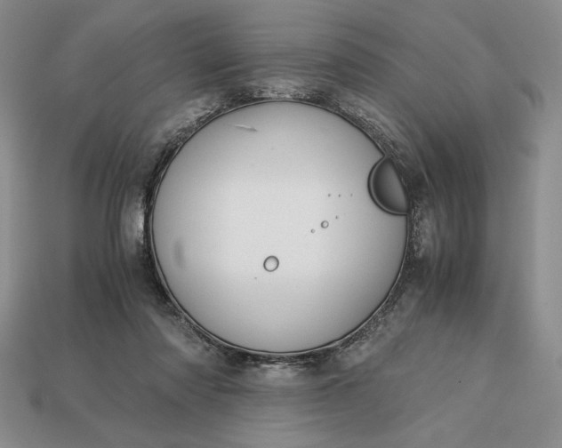 X0000113140310200909181735