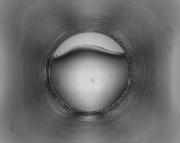 X0000113140312200909181735