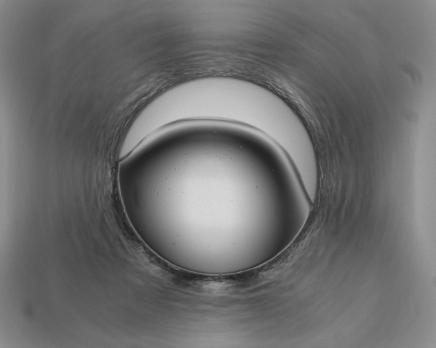 X0000113140313200909181735