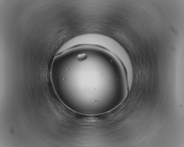 X0000113140316200909181735