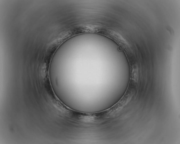 X0000113140318200909181735