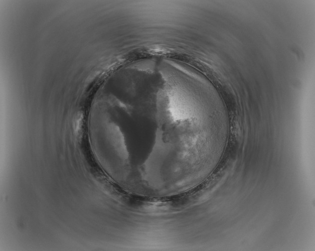 X0000113140319200909181735