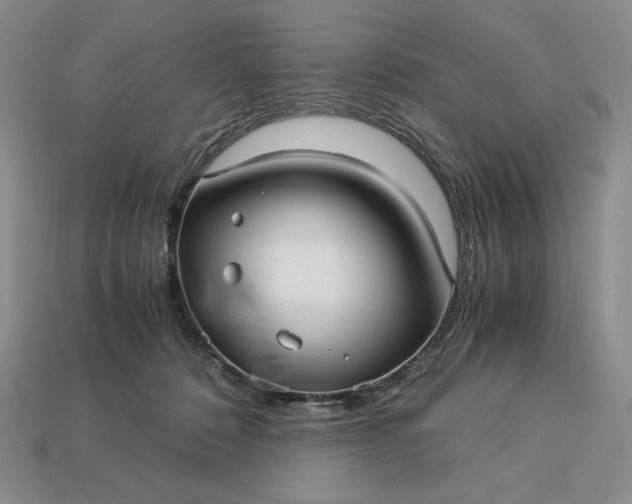 X0000113140320200909181735