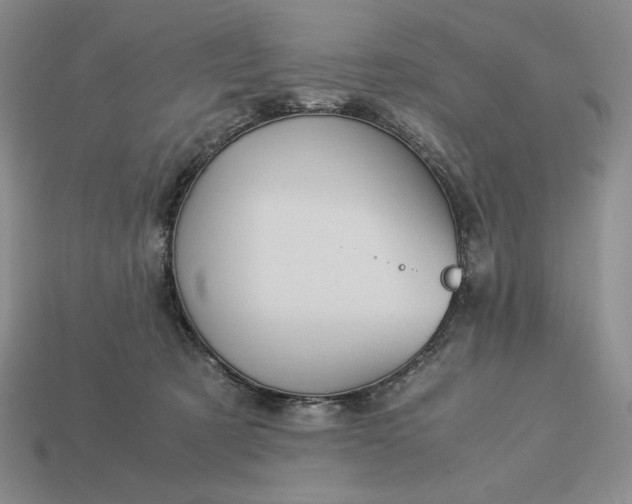 X0000113140321200909181735