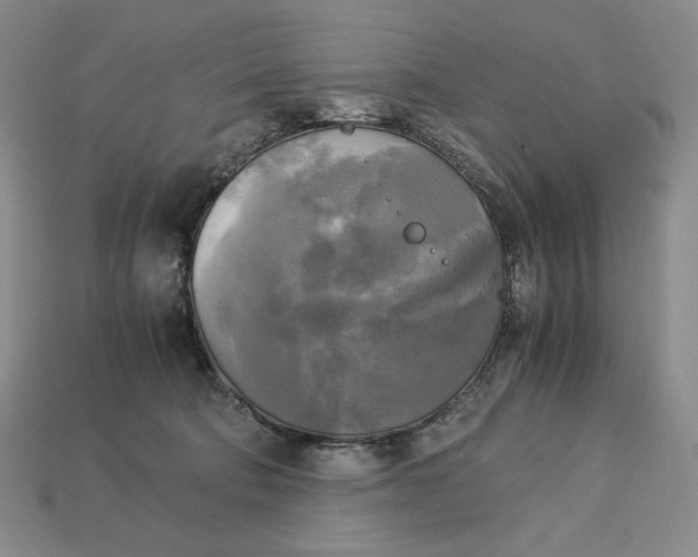 X0000113140322200909181735