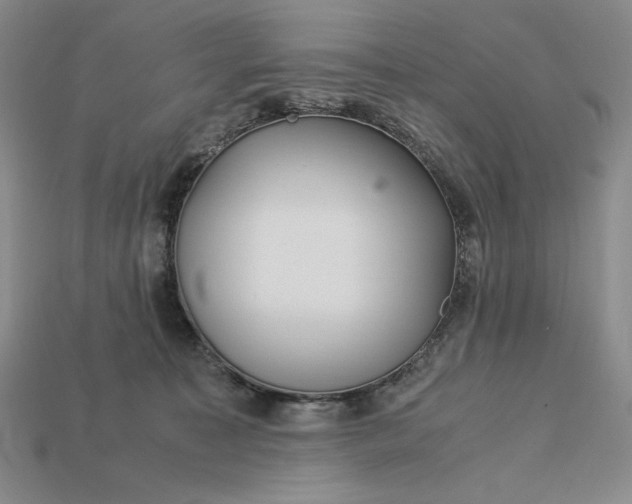 X0000113140323200909181735