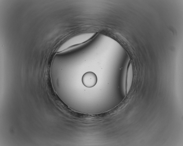 X0000113140325200909181735