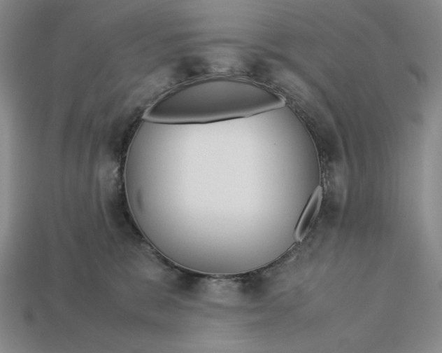 X0000113140327200909181735