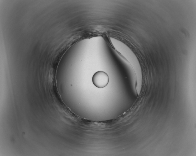 X0000113140328200909181735