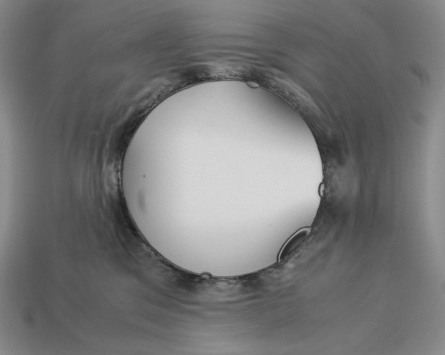 X0000113140329200909181735