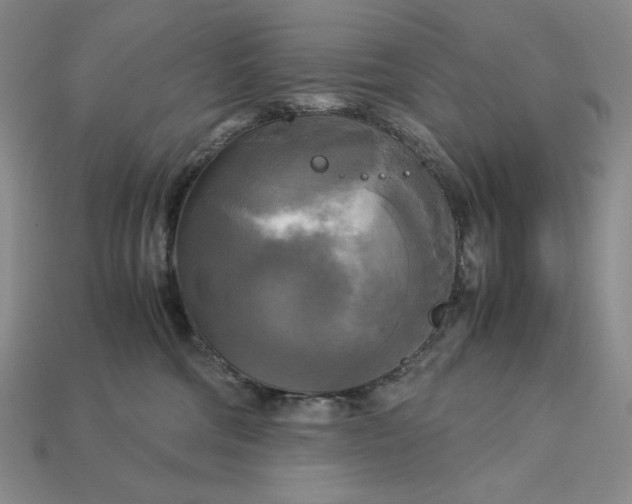 X0000113140330200909181735