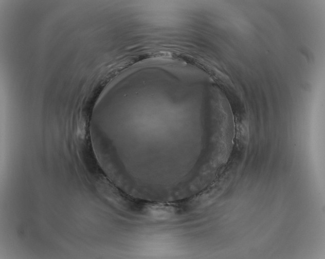 X0000113140331200909181735