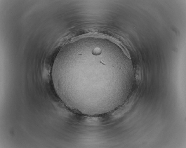 X0000113140332200909181735