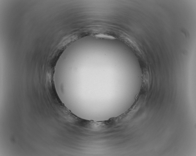 X0000113140333200909181735