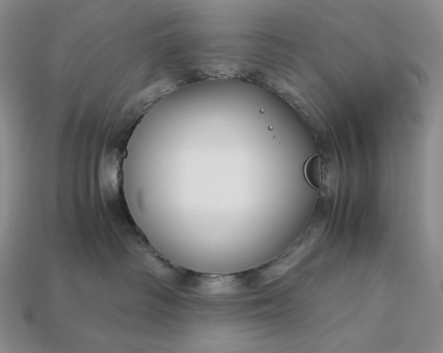 X0000113140334200909181735