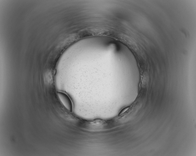 X0000113140335200909181735