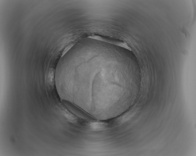 X0000113140336200909181735