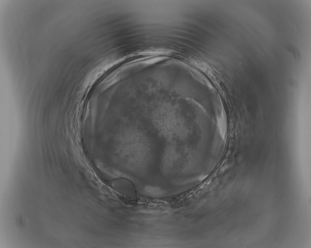 X0000113140337200909181734