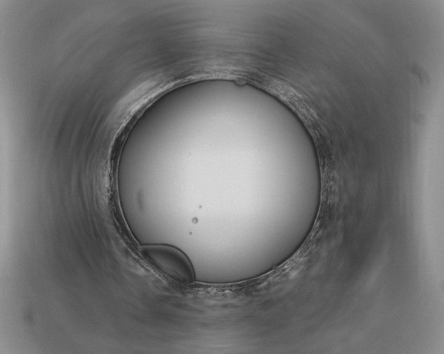 X0000113140338200909181734