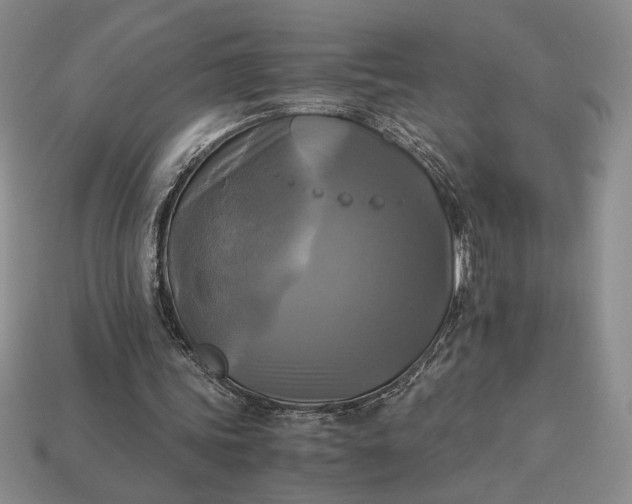 X0000113140339200909181734